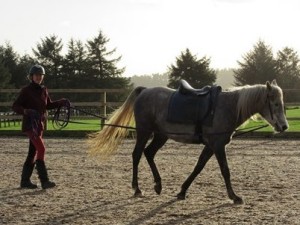 physical development